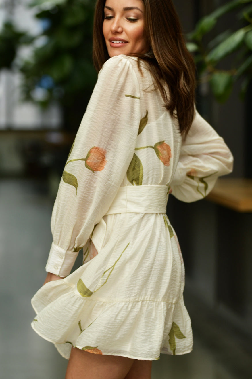 LAVENDER BROWN ELIZABETH LONG SLEEVE DRESS