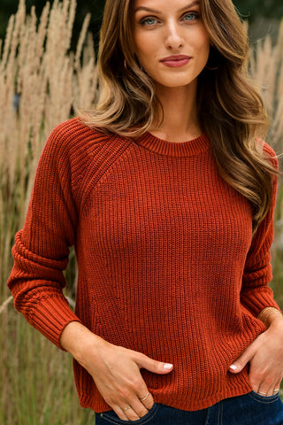 AUTUMN CASHMERE COTTON CINNAMON SWEATER